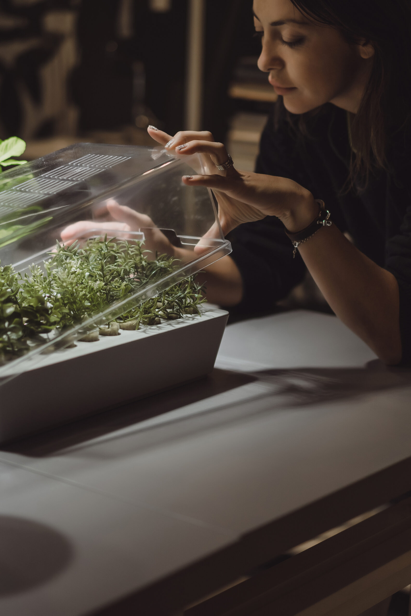 Evde Topraksız Tarım İçin Başlangıç Kılavuzu